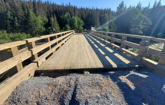 Pont forestier - Parc de la Gaspésie