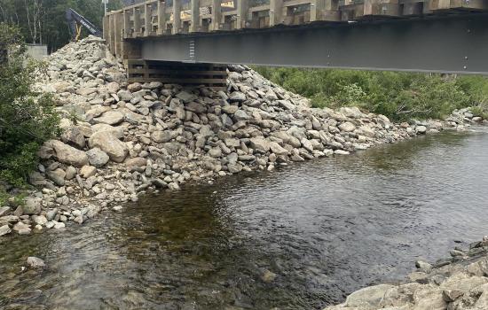Pont forestier - Parc de la Gaspésie