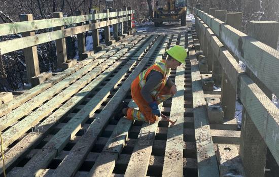 Passerelle - Petit Témis